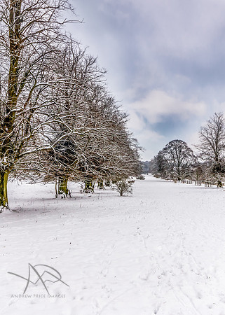 First Snow of Winter, Tring Park, Tring