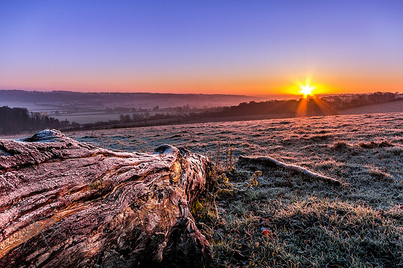 Crisp and Frosty, Wigginton