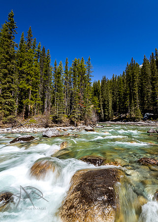 Pure Waters