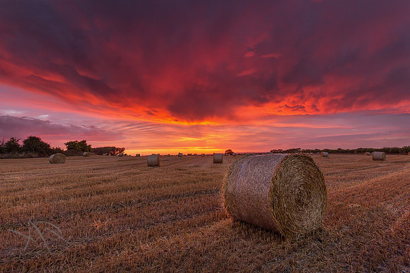 Bails of Fire, Little Tring