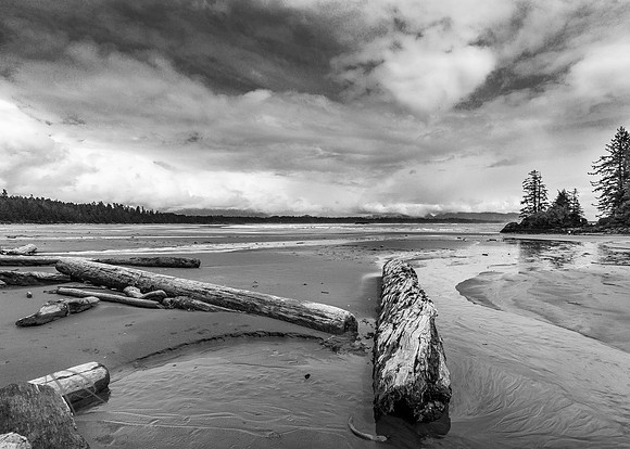 Pacific Driftwood, Vancouver Island