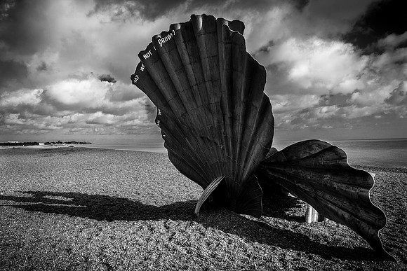 Scallop, Aldeburgh