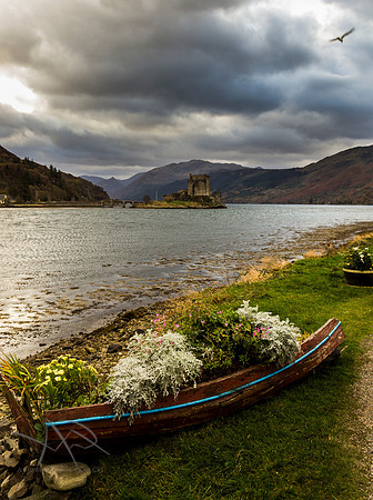 Flowers, Eilean Donan