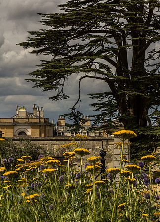 Woburn Abbey - 2013 Photo Competition Adult Winner