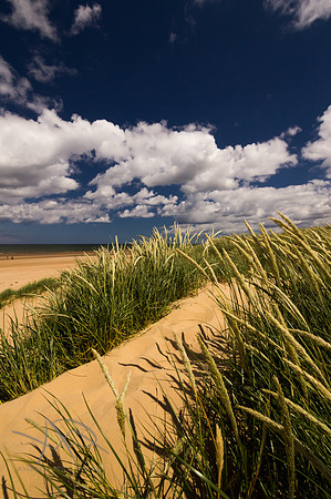 Holkham Dunes